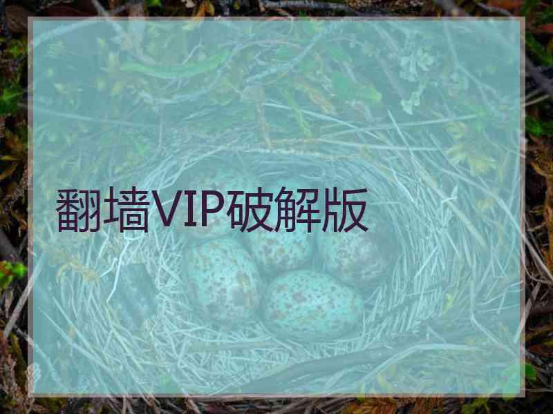 翻墙VIP破解版