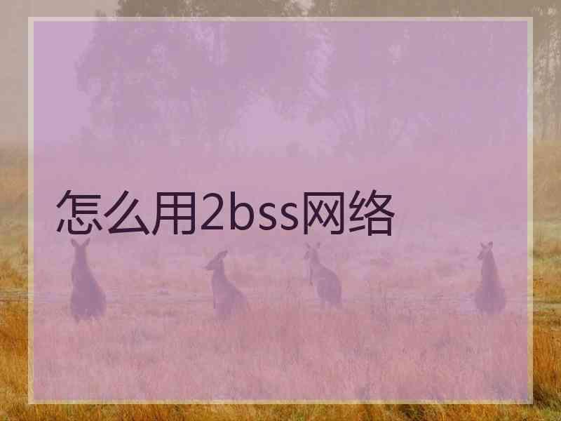 怎么用2bss网络