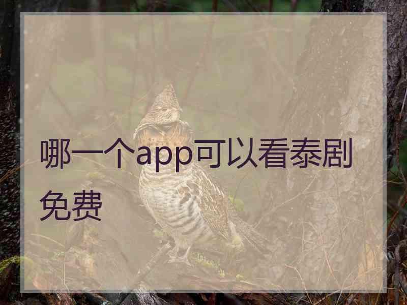 哪一个app可以看泰剧免费