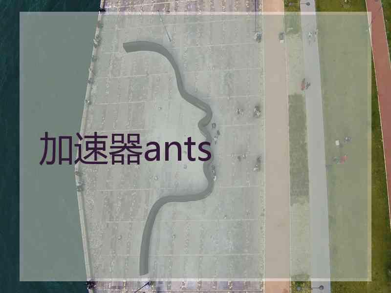 加速器ants