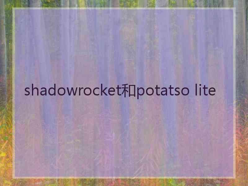 shadowrocket和potatso lite