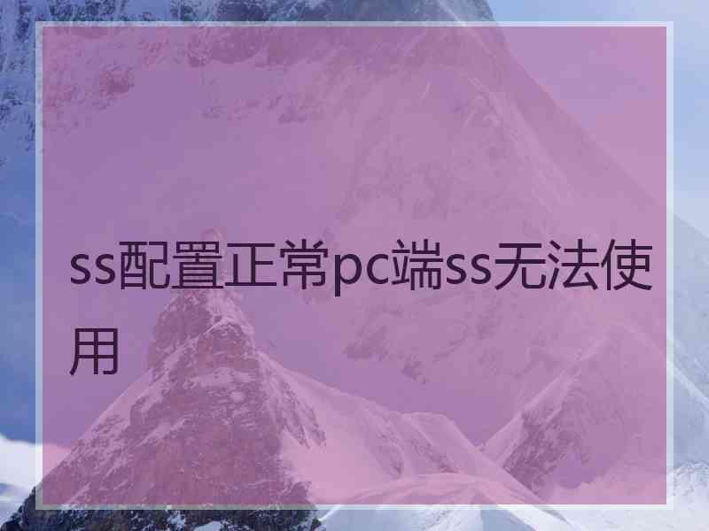 ss配置正常pc端ss无法使用