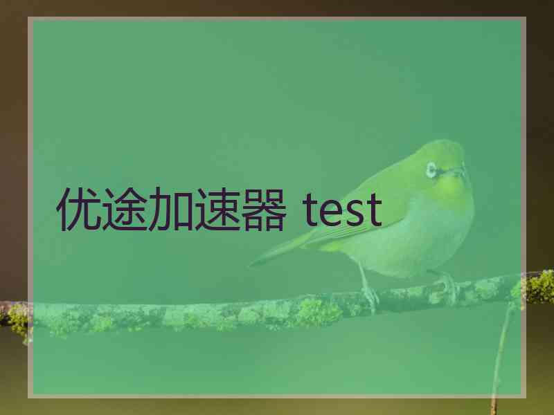 优途加速器 test