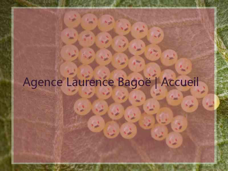 Agence Laurence Bagoë | Accueil