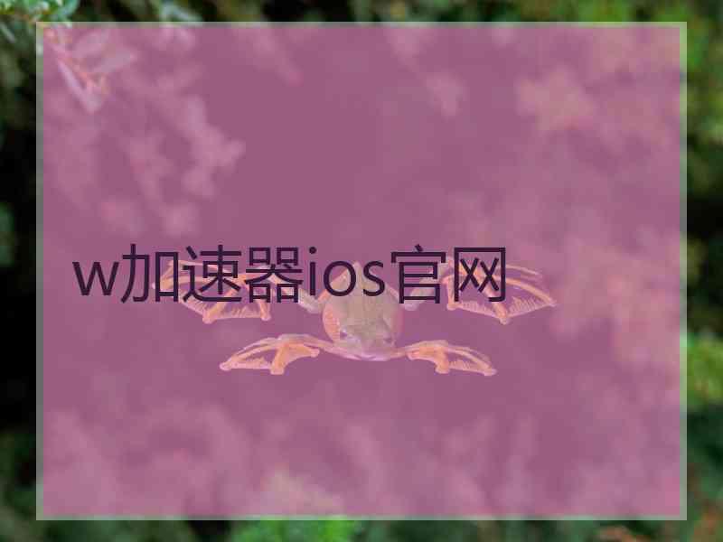 w加速器ios官网