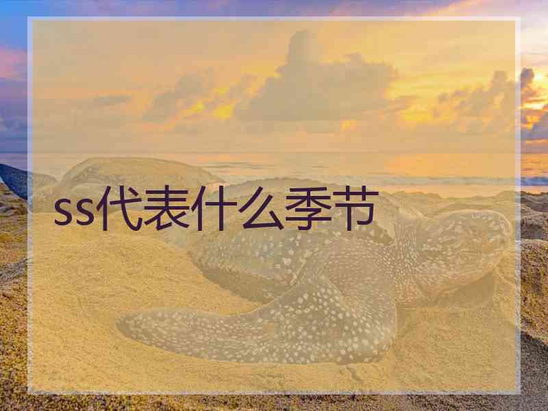 ss代表什么季节