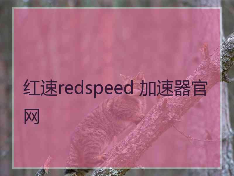 红速redspeed 加速器官网