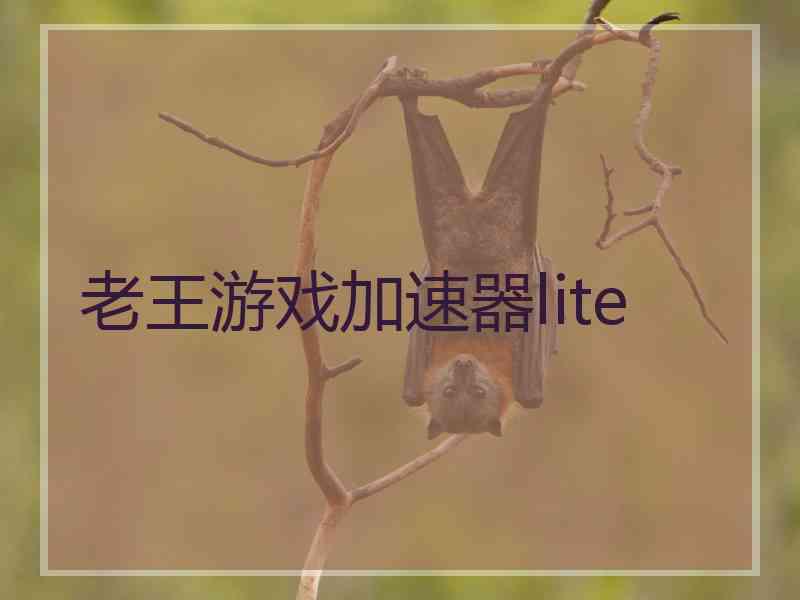 老王游戏加速器lite