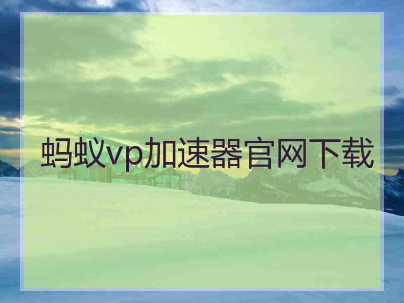 蚂蚁vp加速器官网下载