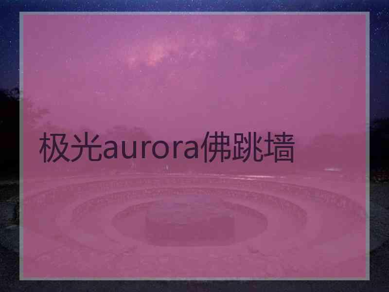 极光aurora佛跳墙