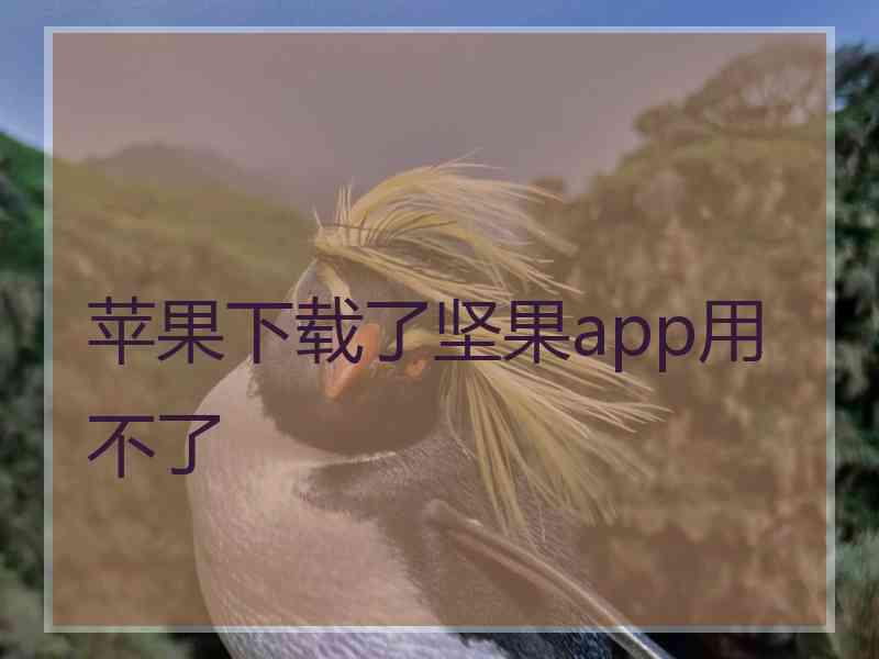 苹果下载了坚果app用不了