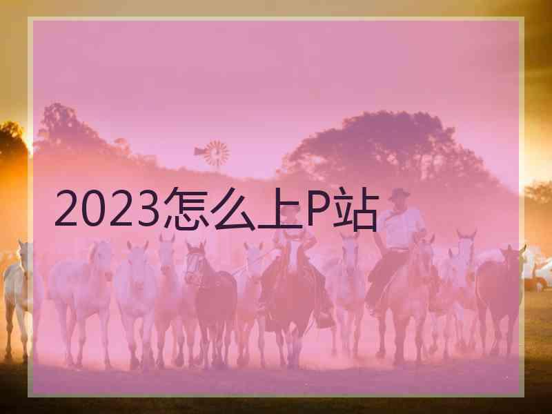 2023怎么上P站