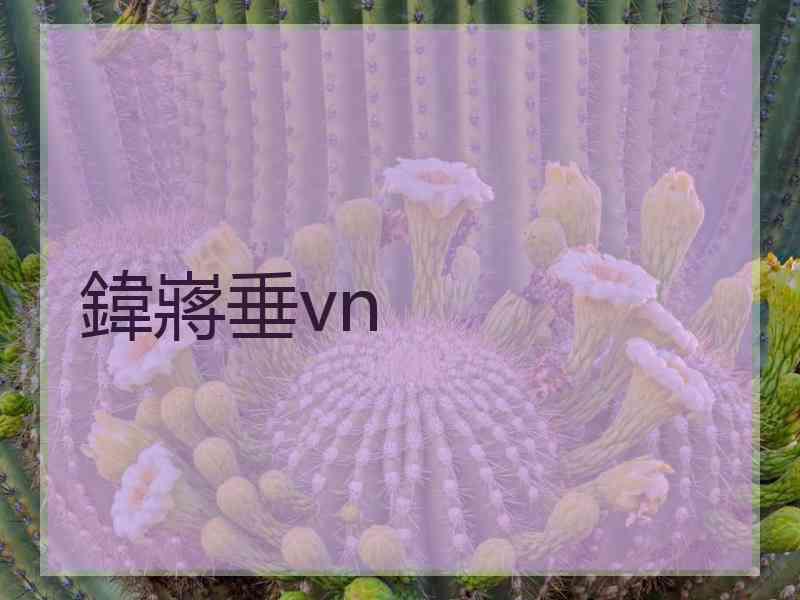 鍏嶈垂vn