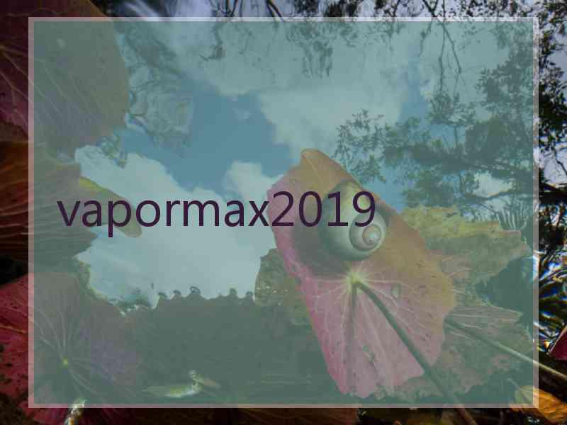vapormax2019