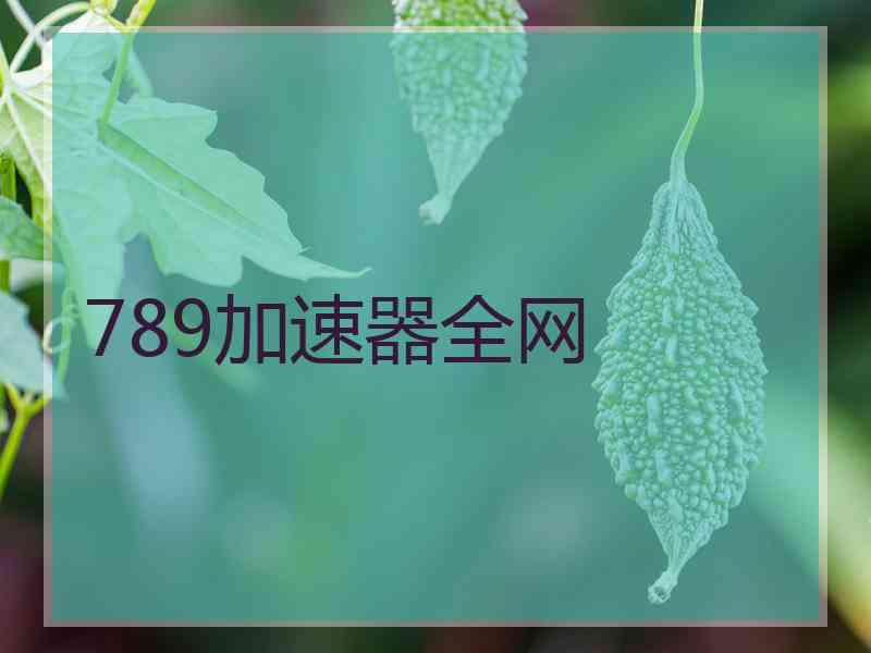 789加速器全网