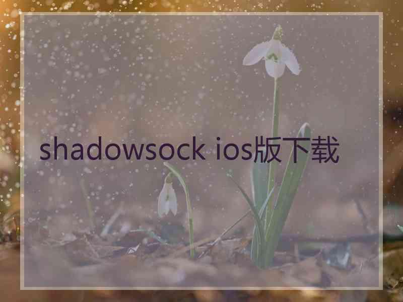 shadowsock ios版下载