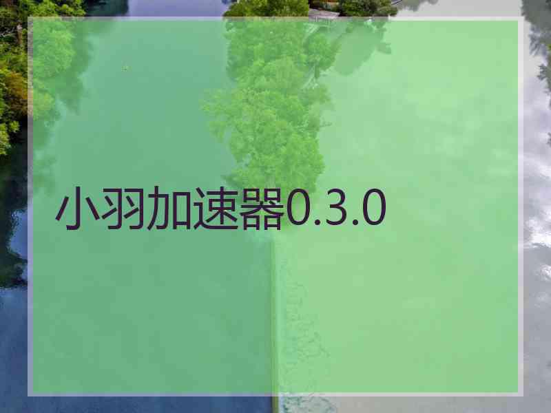 小羽加速器0.3.0