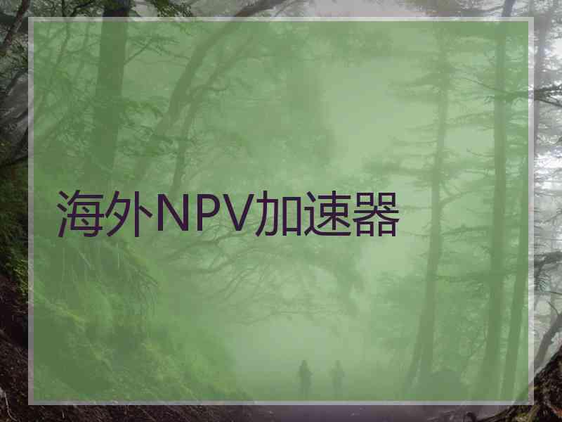 海外NPV加速器