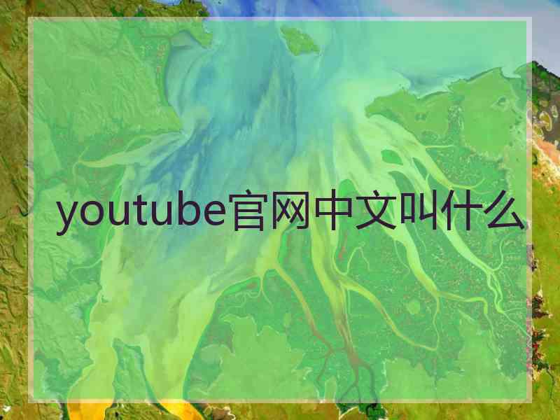 youtube官网中文叫什么