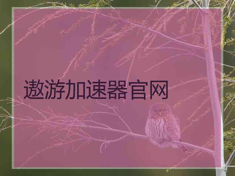 遨游加速器官网