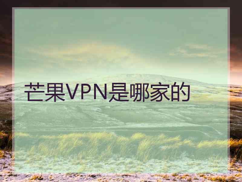 芒果VPN是哪家的