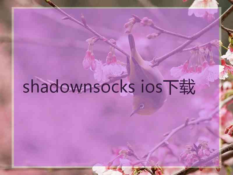 shadownsocks ios下载