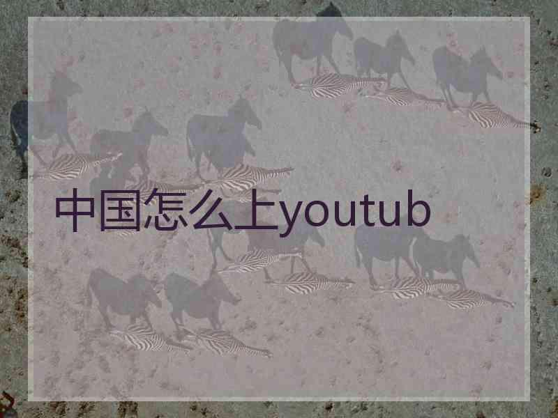 中国怎么上youtub