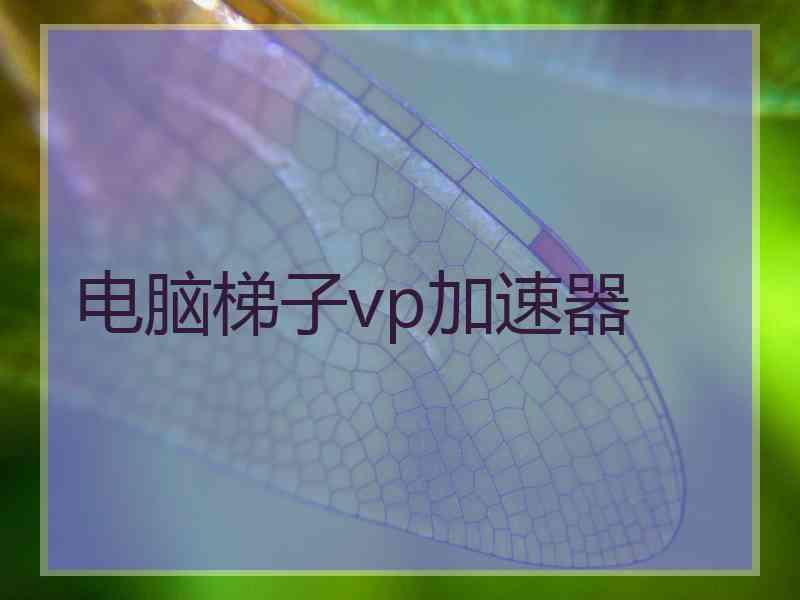 电脑梯子vp加速器