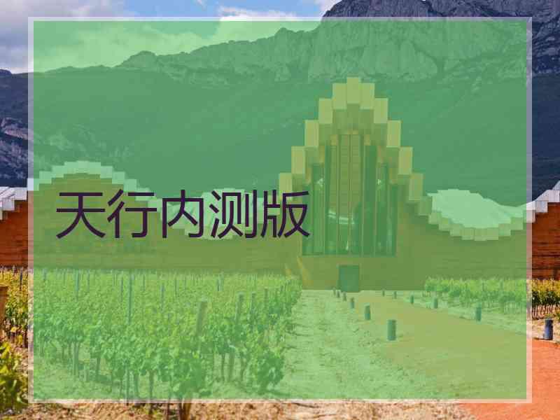 天行内测版