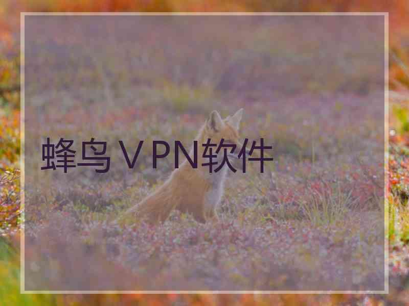 蜂鸟ⅤPN软件