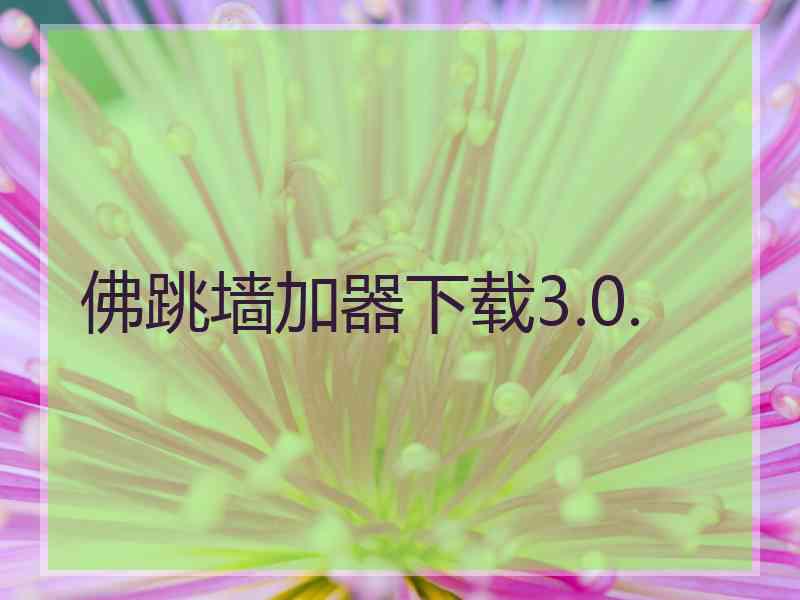 佛跳墙加器下载3.0.