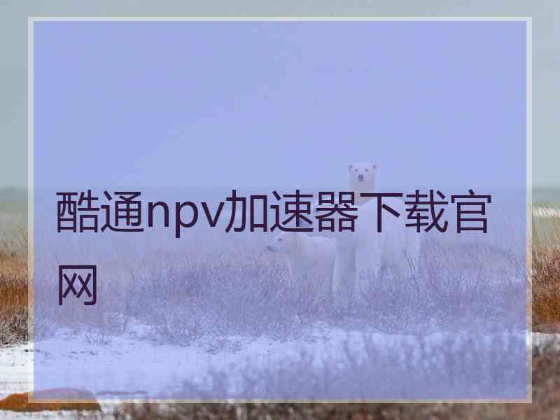 酷通npv加速器下载官网