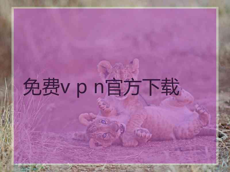 免费v p n官方下载