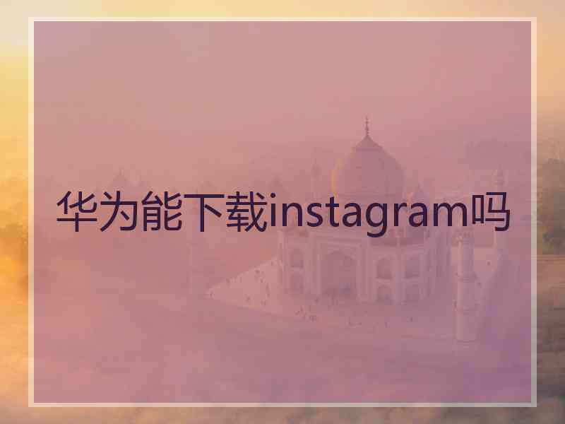 华为能下载instagram吗