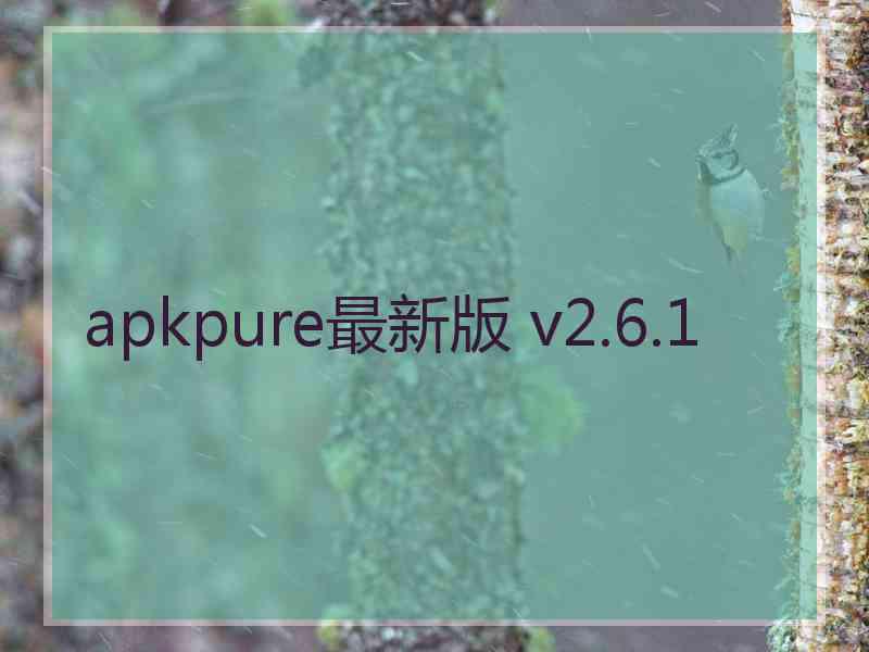 apkpure最新版 v2.6.1