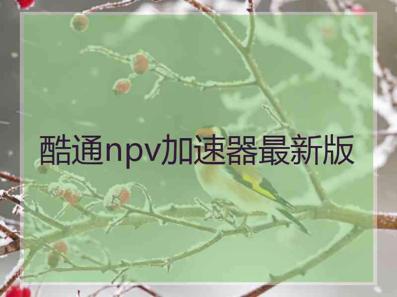 酷通npv加速器最新版