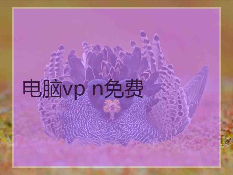 电脑vp n免费