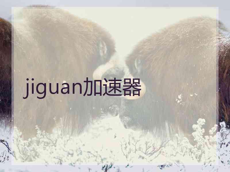 jiguan加速器