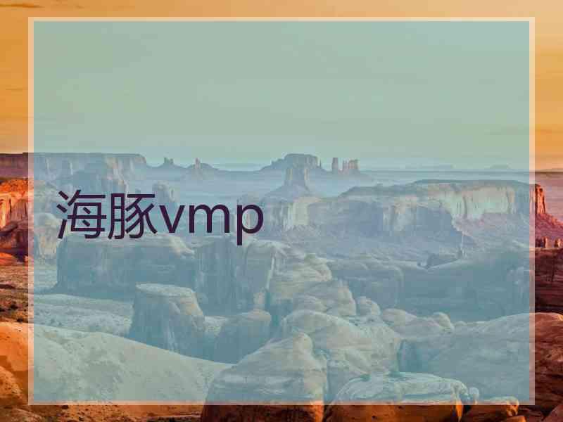 海豚vmp