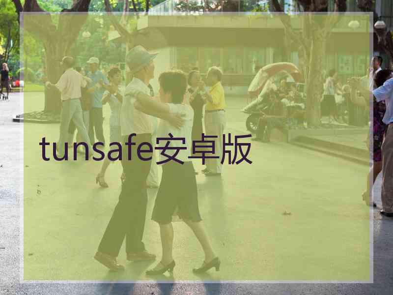 tunsafe安卓版