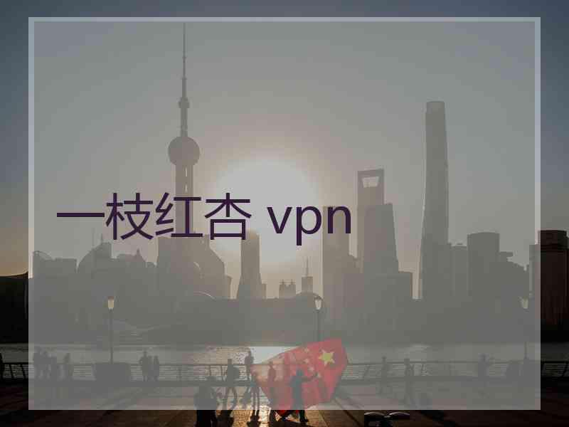 一枝红杏 vpn