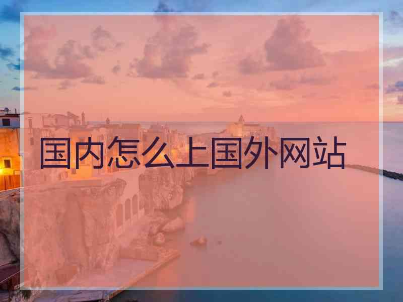 国内怎么上国外网站