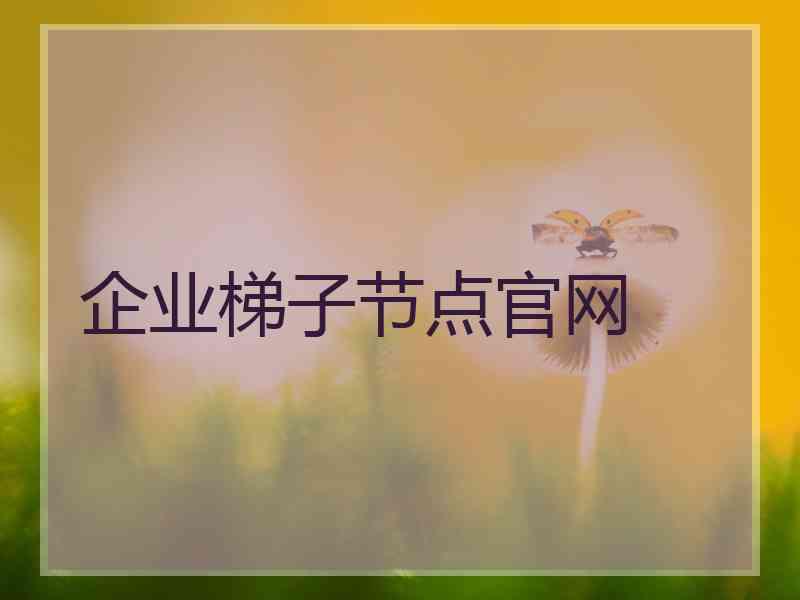 企业梯子节点官网