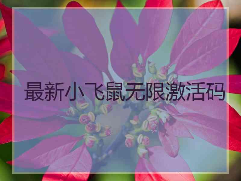 最新小飞鼠无限激活码