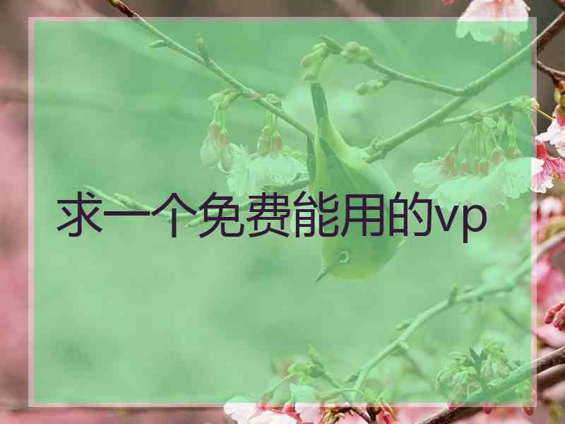 求一个免费能用的vp