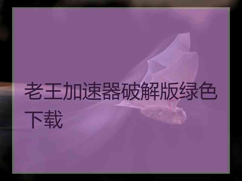 老王加速器破解版绿色下载