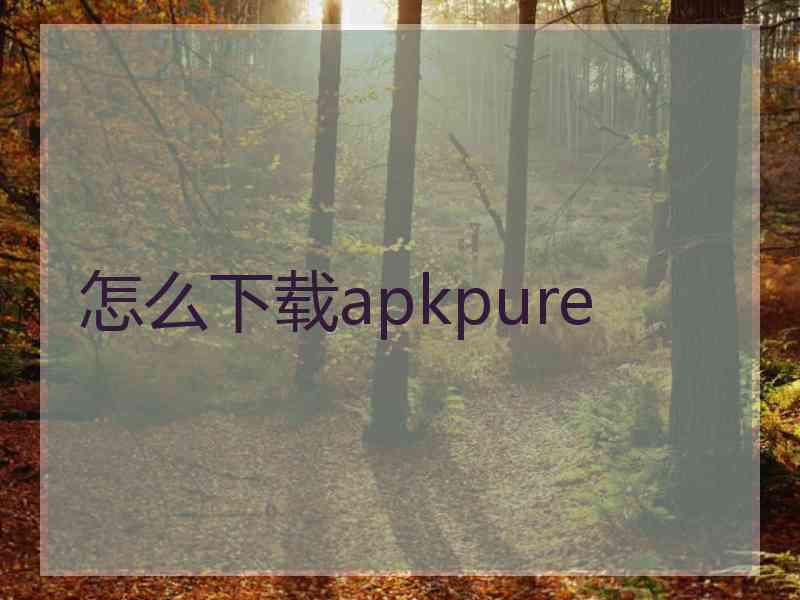 怎么下载apkpure