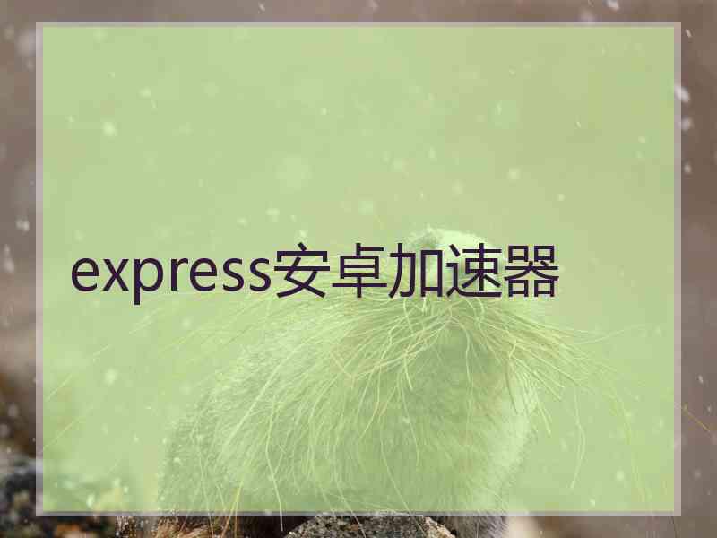 express安卓加速器