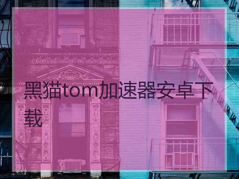 黑猫tom加速器安卓下载