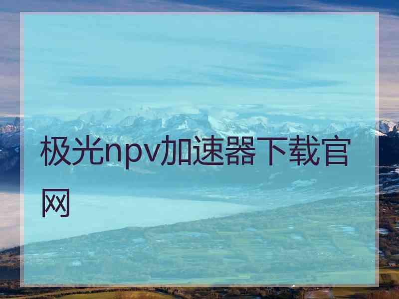 极光npv加速器下载官网